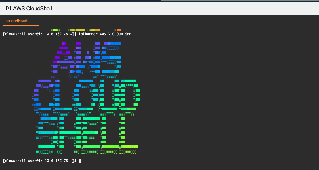 Introducing AWS CloudShell !!!